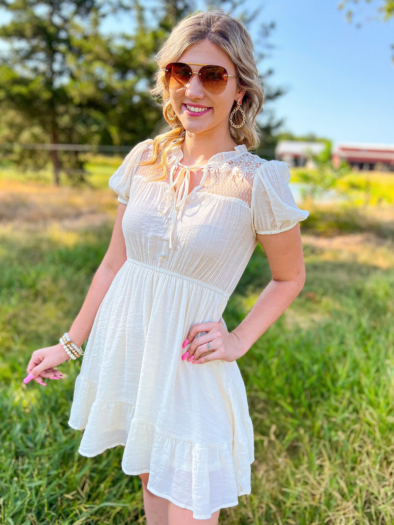 amelia mini dress POSSE Amelia Mini Dress
